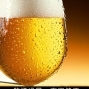 【新光三越百貨】2010父親節-夏日啤酒季-封面