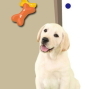 寵愛我的小寶貝－流浪犬認養活動-封面