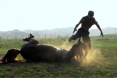 【恆昶藝廊】內蒙 古采風--林佩欣攝影個展-封面