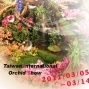2011台灣國際蘭展-封面