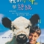 【花蓮縣文化局】影片：我的小牛與總統-封面