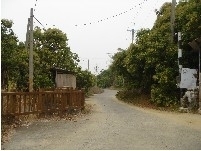 【台南市文化局】「東山龍眼加咖啡體驗活動」開始報名-封面 【台南市文化局】「東山龍眼加咖啡體驗活動」開始報名-封面