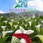 伊，索的芋言－2012年竹子湖海芋季-封面