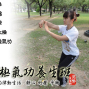 太極氣功養生班-封面