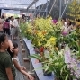 2012北玄宮蘭花展-封面