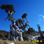 【新竹市文化局】心中有樹 Tree Of Mind─陳偉藏攝影展-封面
