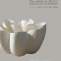 【貝瑪畫廊】36.5ﾟC的白－蔡宗隆2012個展-封面