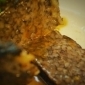 2012台北愛米食「點心米食嘉年華」 2012台北愛米食「點心米食嘉年華」
