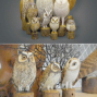 【關渡自然公園】陶塑貓頭鷹及生態特展-封面