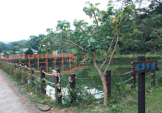 【北埔社區發展協會】螢火繁花涆埤樂-封面