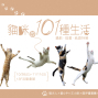<貓咪的101種生活>攝影‧插畫‧紙漿特展-封面