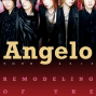 【The WALL】Angelo Tour 2013-封面