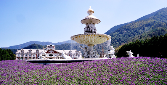 2016九族櫻花祭：浪漫二部曲「薰衣草狂歡嘉年華」-封面