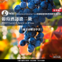 【圓頂知飲｜圓頂市集】 2020.02／01（六） 起 WSET 葡萄酒認證二級（高雄班）-封面