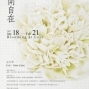 「花開自在」金芬華 Fen-Hwa King 油畫個展-封面