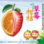 2013獅潭草苺柑桔文化節-封面