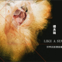 2020楊丞琳 LIKE A STAR 世界巡迴演唱會-封面