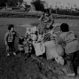 【苗栗縣文化局】再訪農村－邱德雲攝影展-封面