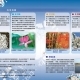 La new 2013 用腳愛台灣 桃園動起來 迷你馬X大健走-相關圖片