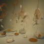 台灣新藝週年展-織．植．紙．摯 & 幽微的共鳴-翁沛瑩個展-封面