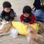 讓1~4歲的孩子動腦、動身體、還能動動心！來KuKuLoo小狗課，讓孩子與狗狗一起探索世界！-封面