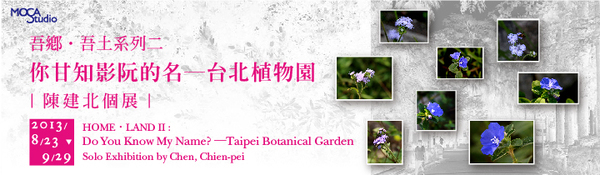 你甘知影阮的名─台北植物園 | 陳建北個展-封面