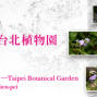 你甘知影阮的名─台北植物園 | 陳建北個展-封面