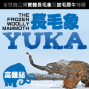 長毛象YUKA特展-封面