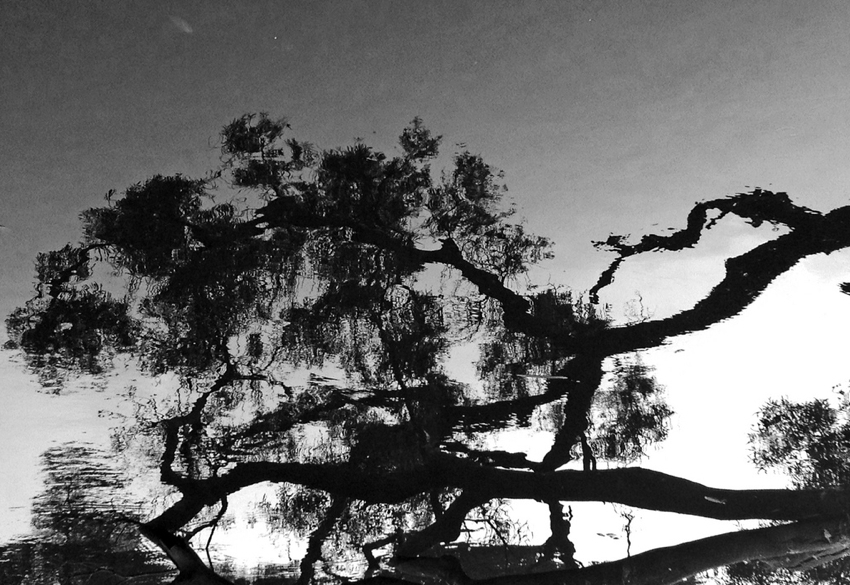 如詩的真實 Ways of seeing-封面 如詩的真實 Ways of seeing-封面