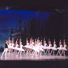 [售票]俄羅斯明星節慶芭蕾舞團《天鵝湖》-封面