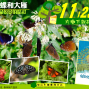 大樹下說故事~蝴蝶與大雁-生命蛻變的精采!-封面
