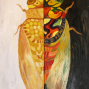 2014/01/11~03/02【量形孵化】簡瑞萍創作個展-封面