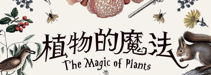 [心得]【國立自然科學博物館】植物的魔法特展-封面