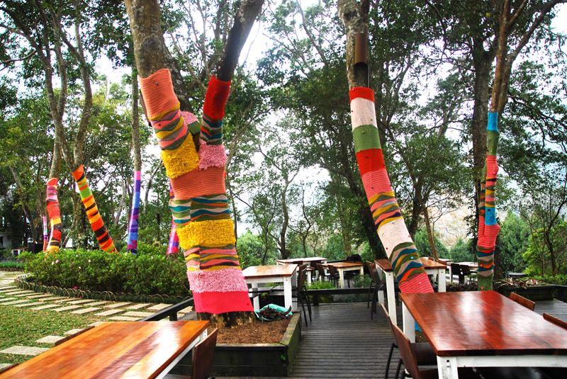 薰衣草森林_幫樹穿衣-封面