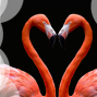Flirt! On Valentine's Day-封面