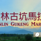 雲林古坑馬拉松2015