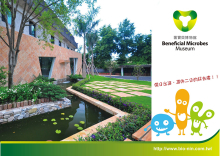 【觀光工廠】菌寶貝博物館DIY體驗