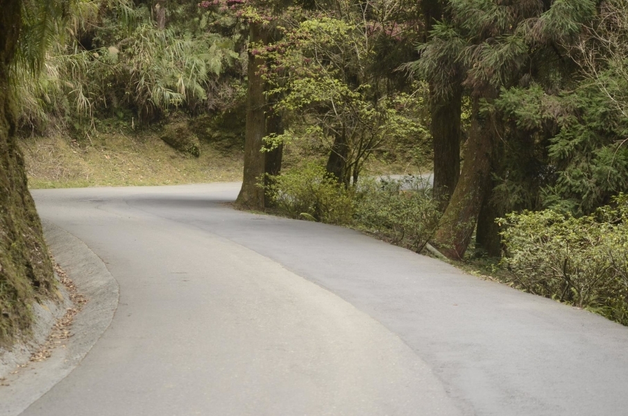 2015第一屆杉林溪森林健走-封面