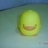 鄭雅之