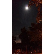 烏拉拉