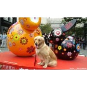余鴻隆