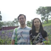 江淑惠