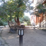 碰碰