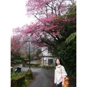 黃齊