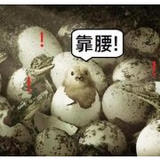 鈞怕熱