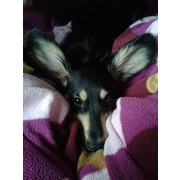 王郁婷
