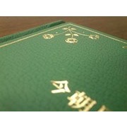 Chieh-lun Chu