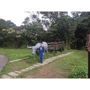 李秉叡