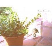 甄艾菲