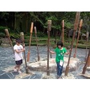 羽軒陳
